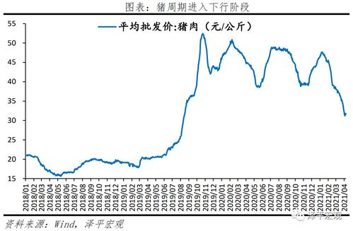 任澤平 拿掉豬以后都是通脹