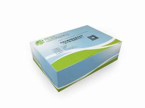 布魯氏菌核酸檢測試劑盒(凍干型/恒溫熒光法)產品圖片